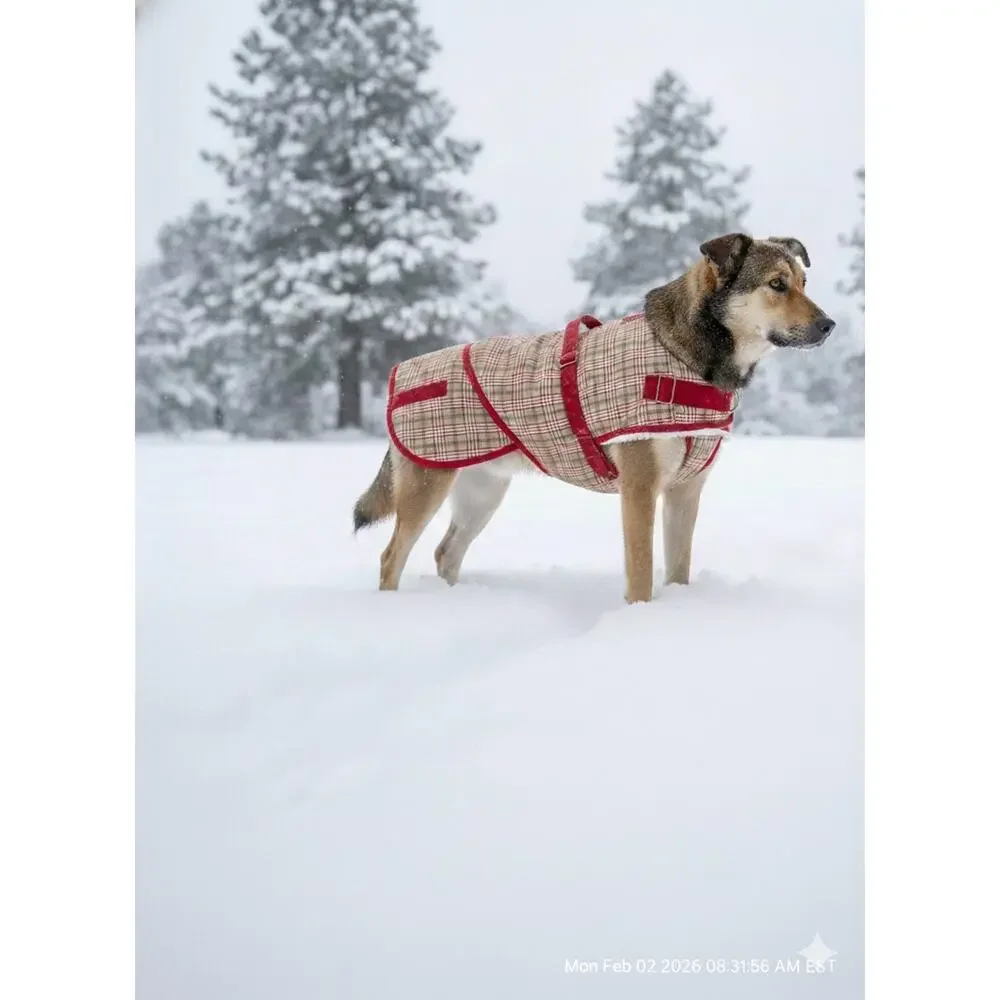 Canine Styles Plaid Dog Coat Size 26 Sherpa Lined Adjustable Straps Large Breed